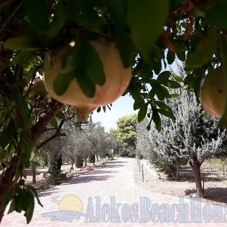 Apartamento Alekos Beach Houses-natura Verde